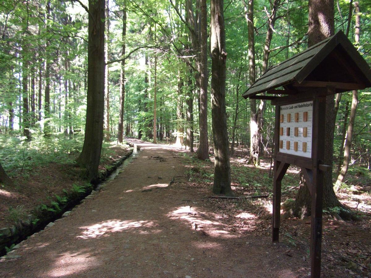Ferienwohnung Erzgebirge - Pobershau - Mit Schoenem Ausblick, Ruhige, Beste Lage Exterior photo